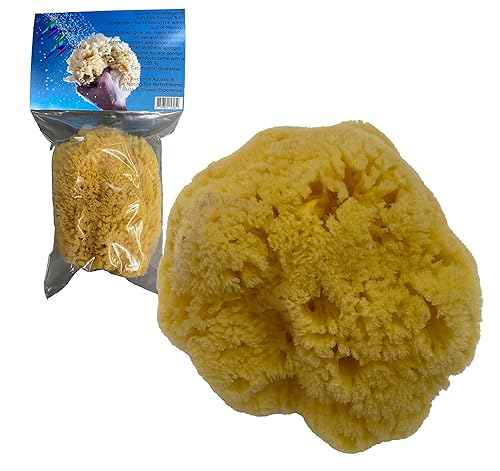 Awesome Aquatic Natural Sea Sponge Amazing Natural Renewable Resource Creating The in Home Perfect Bath and Shower Experience Artist Sponge (Yellow