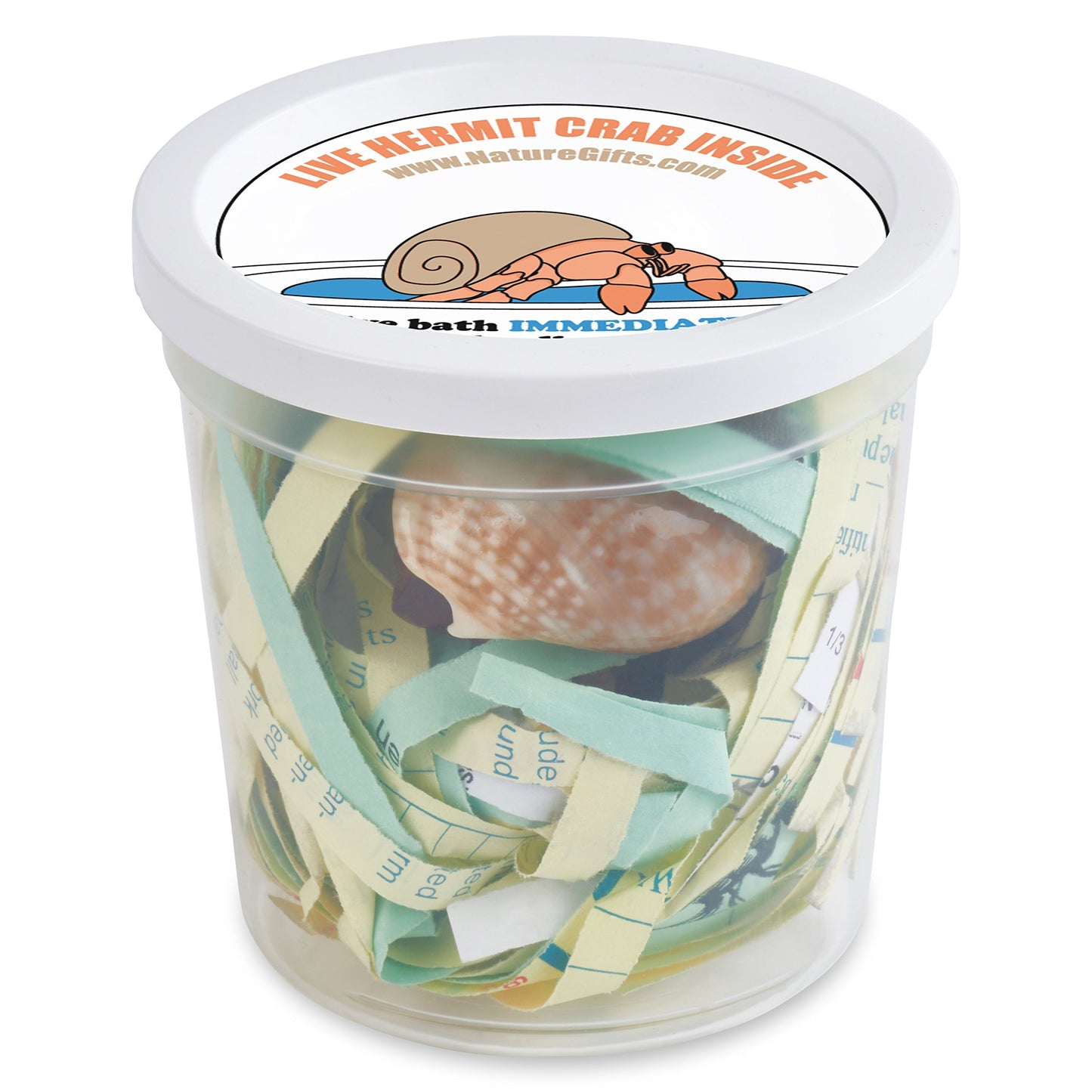 Live Hermit Crab Complete Starter Kit - Includes 2 Live Crabs - All-in-One Kit with Terrarium, Food, Coconut Fiber, and More - Bundle
