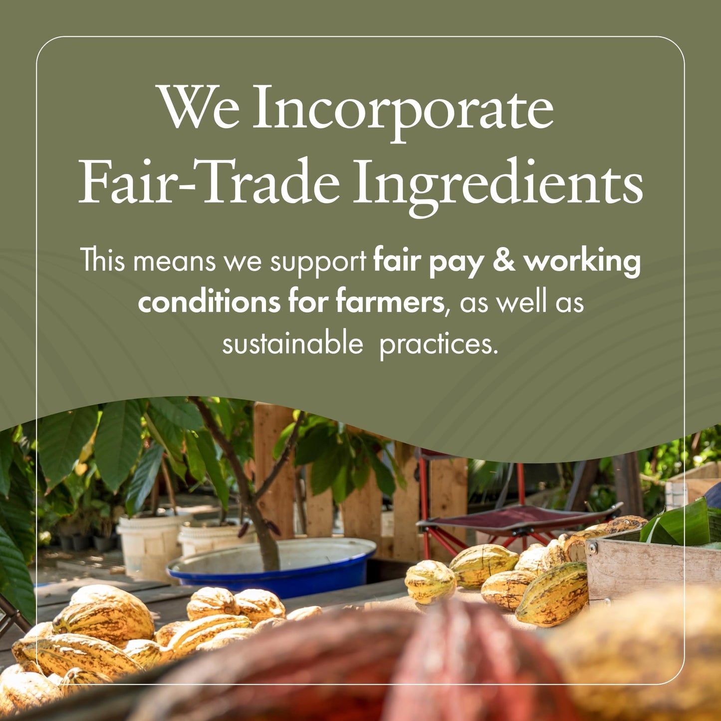 emergin C Scientific Organics Phytocell Detox Mask - Hydrating Facial Mask with French Green Clay, Seaweed + Plant Stem Cells - Draws Out Impurities +
