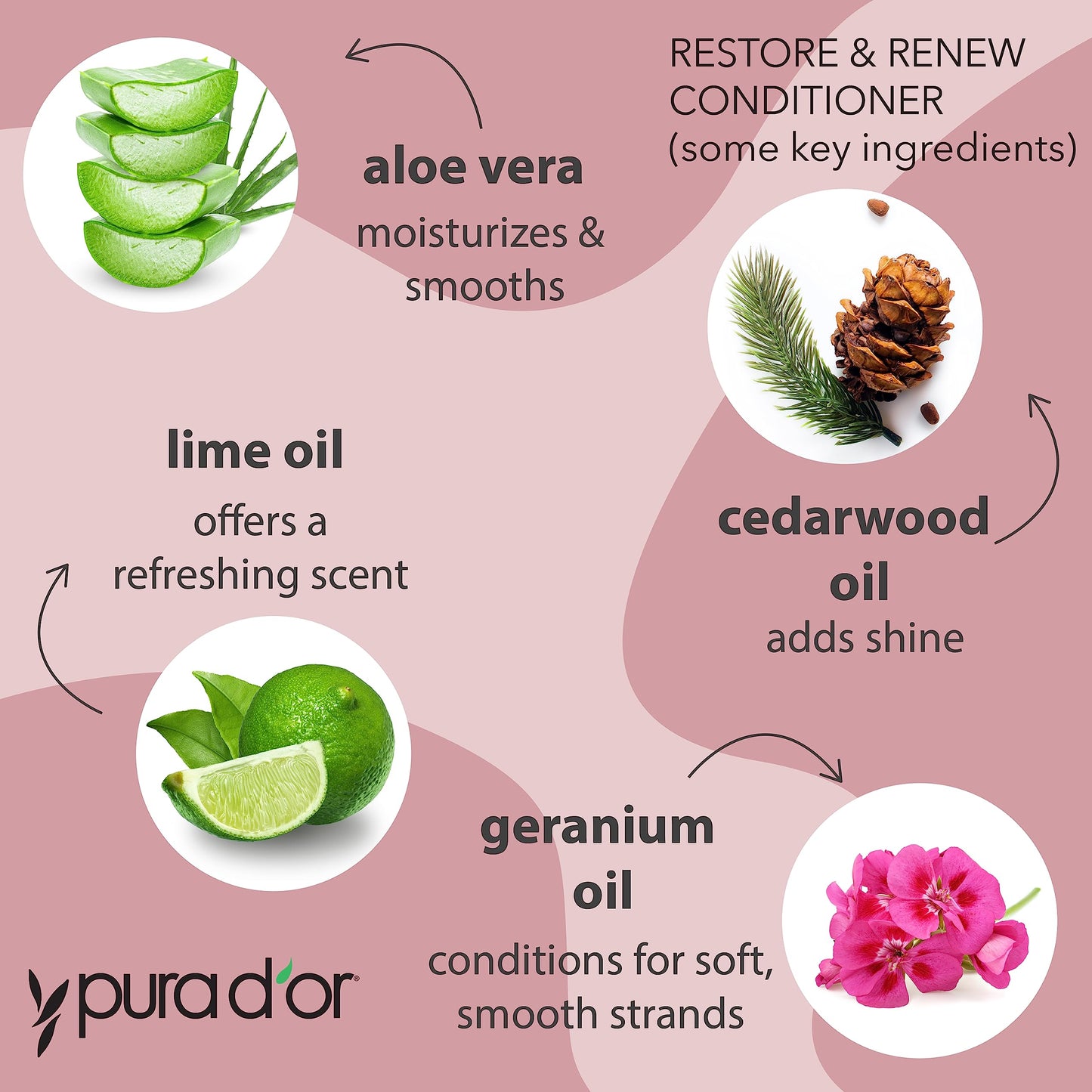 PURA D'OR Restore & Renew Shampoo and Conditioner Set for Strong, Healthy, and Nourished Hair with Organic Aloe Vera, Rosemary, Sea Buckthorn, Cacay