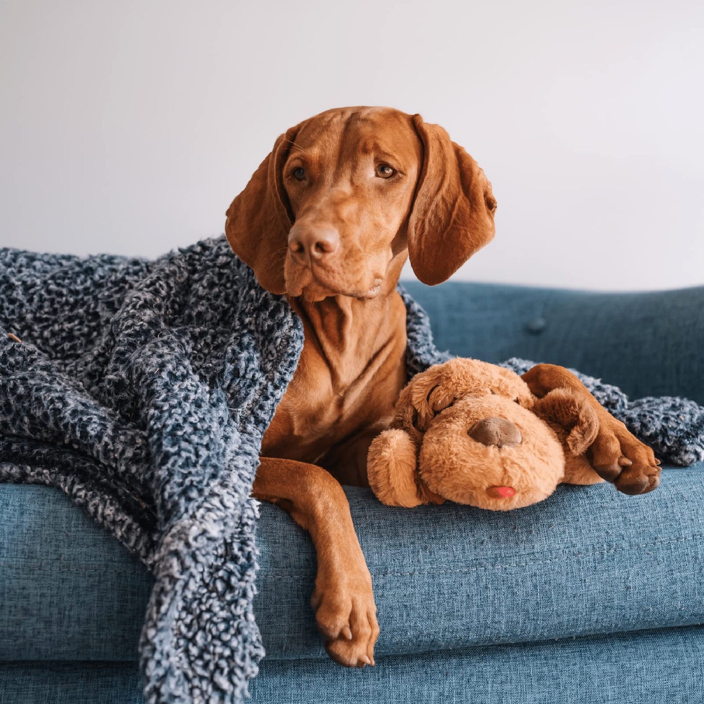 Original Snuggle Puppy Toys - Heartbeat Puppy for Dogs - Pet Anxiety Relief and Calming Aid - Comfort Dog Toys for Behavioral Training