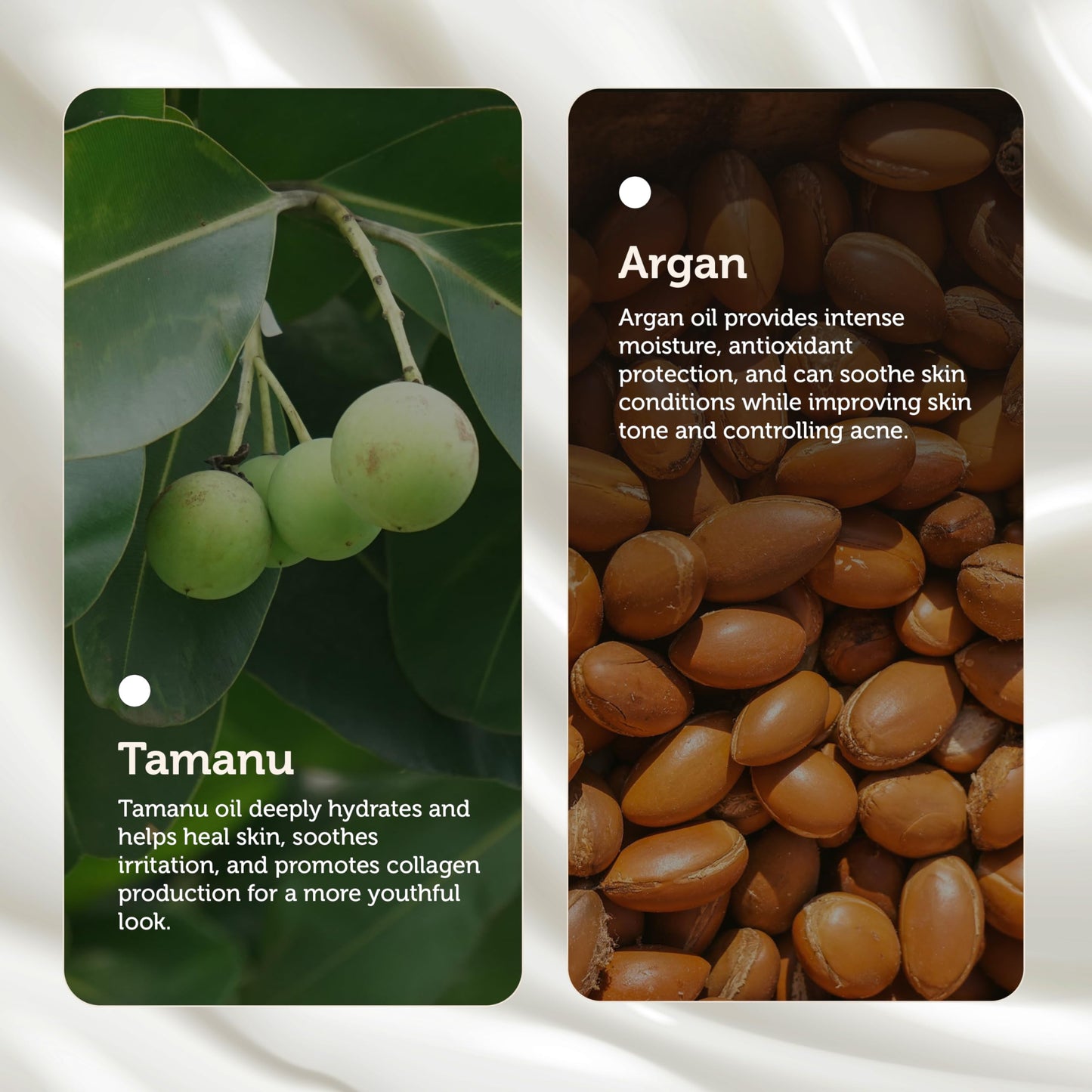 e.fek.tiv beauty Tamanu and Argan Nourishing Body Cream - Deep Hydrating Moisturizer - Rejuvenates Dry and Dehydrated Skin - Vegan - Sulfate-free
