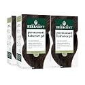 Herbatint Permanent Hair Dye - 3N Dark Chestnut - For Up To 100% Gray Coverage of Resistant Gray Hair - Ammonia-Free, Alcohol-Free & Vegan - Salon