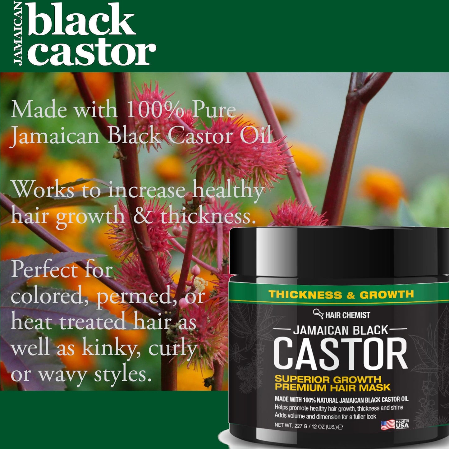 Chemist Superior Growth Jamaican Black Castor Hair Mask 12 oz. - Masque for Dry Damaged Hair, Deep Repairing Mask for Hair Growth