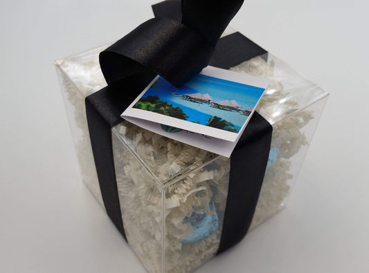 Spa Pure BORABORA Bath Bombs: Gift Set with 6 Bath Bomb Fizzies with Shea, Mango & Cocoa Butter, Ultra Moisturizing (14 Oz) Great for Dry Skin, All…