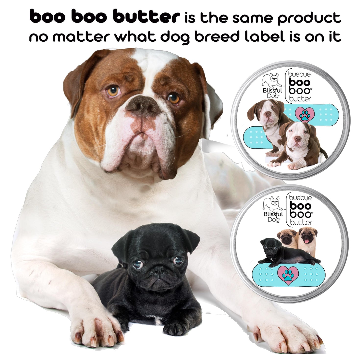 The Blissful Dog Springer Spaniel Boo Butter, 2 oz Beauty and Personal Care The Blissful Dog