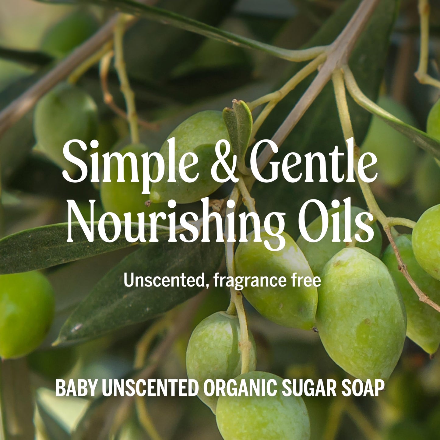 Dr. Bronner’s - Organic Sugar Soap (Baby Unscented, 64 Ounce) - Made with Organic Oils, Sugar and Shikakai Powder, 4-in-1 Use: Hands, Body, Face