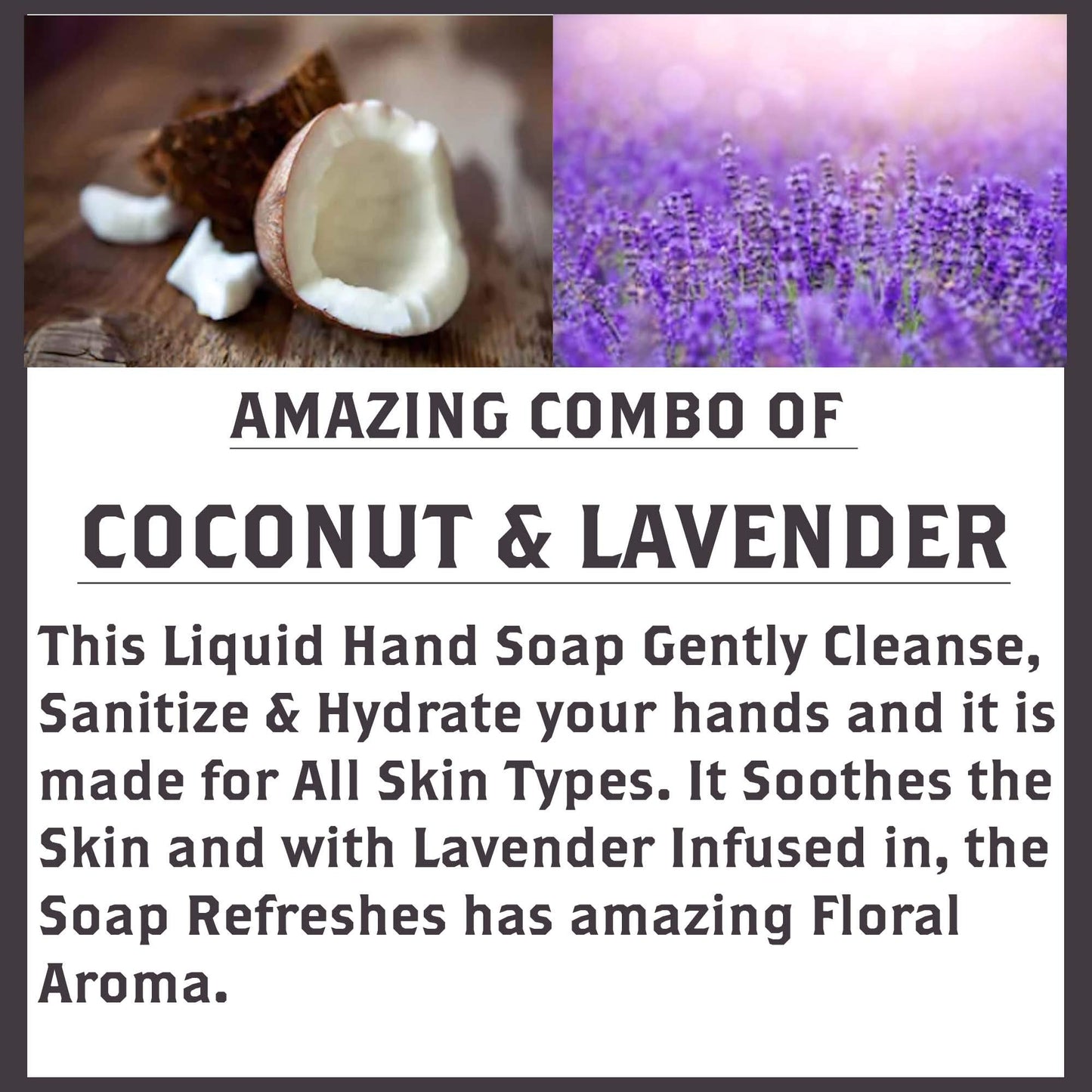 Olivia Care Liquid Hand Soap (18.5 Fl Oz (Pack of 1), Lavender Coconut)
