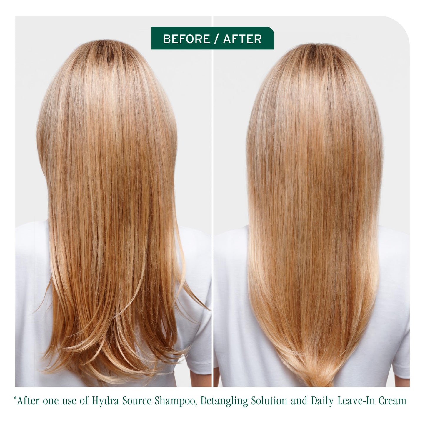 Biolage Hydra Source Shampoo - Softens, Moisturizes & Adds Shine, For Dry Hair, Infused with Micro-Filtered Aloe Vera & Fermented Hyaluronic Acid