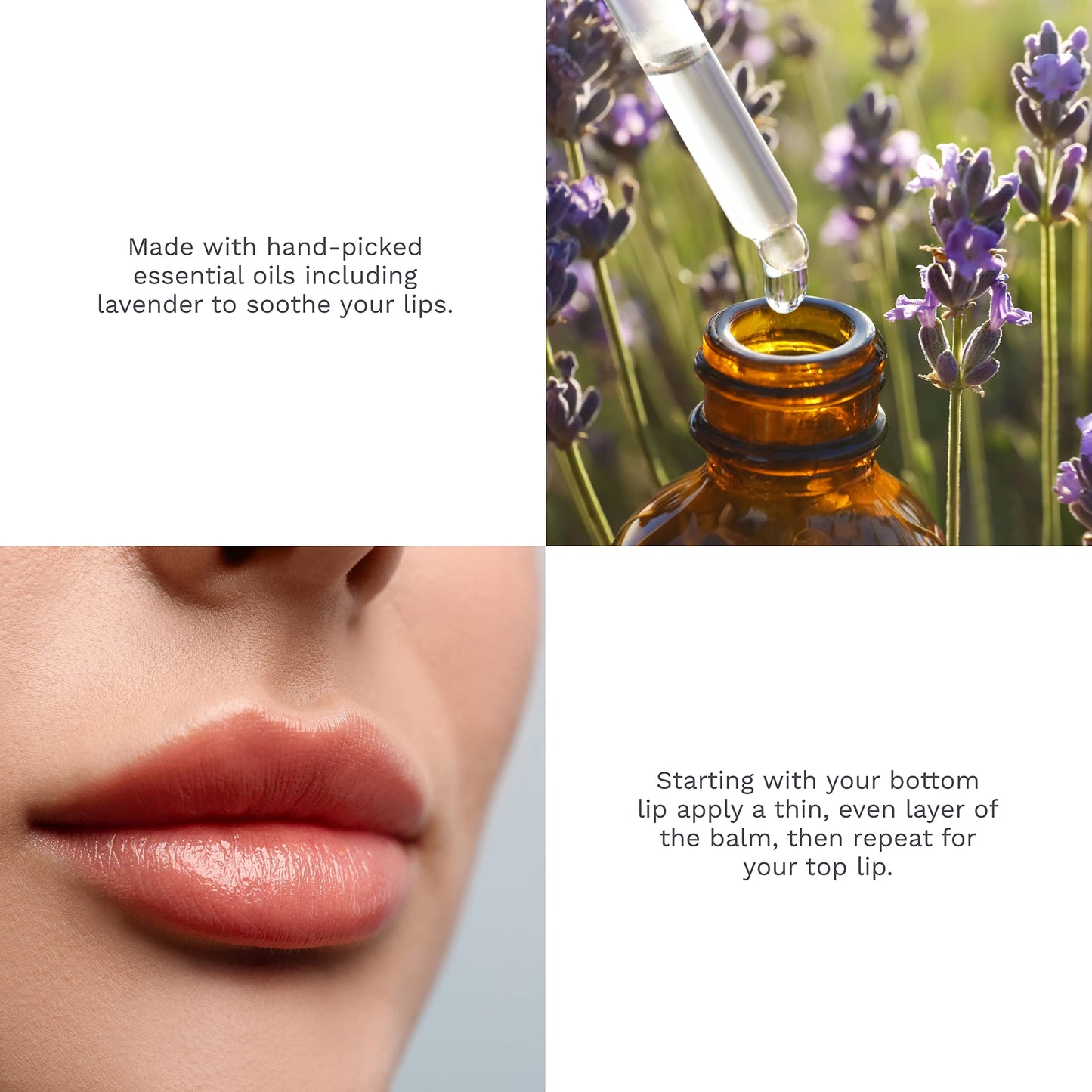 Rebels Refinery 3-Piece Neapolitan Skull Lip Balm Bundle - Passion Fruit, Black Mint & White Vanilla