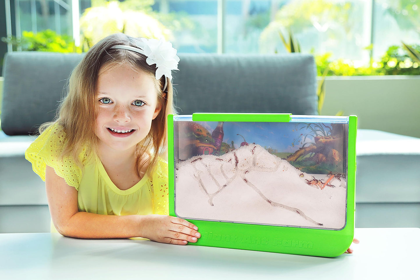 Uncle Milton Giant Ant Farm – Large Viewing Habitat to Care for Live Ants, Nature Learning & Science DIY Toy Kit, Educational Gift for Boys & Girls