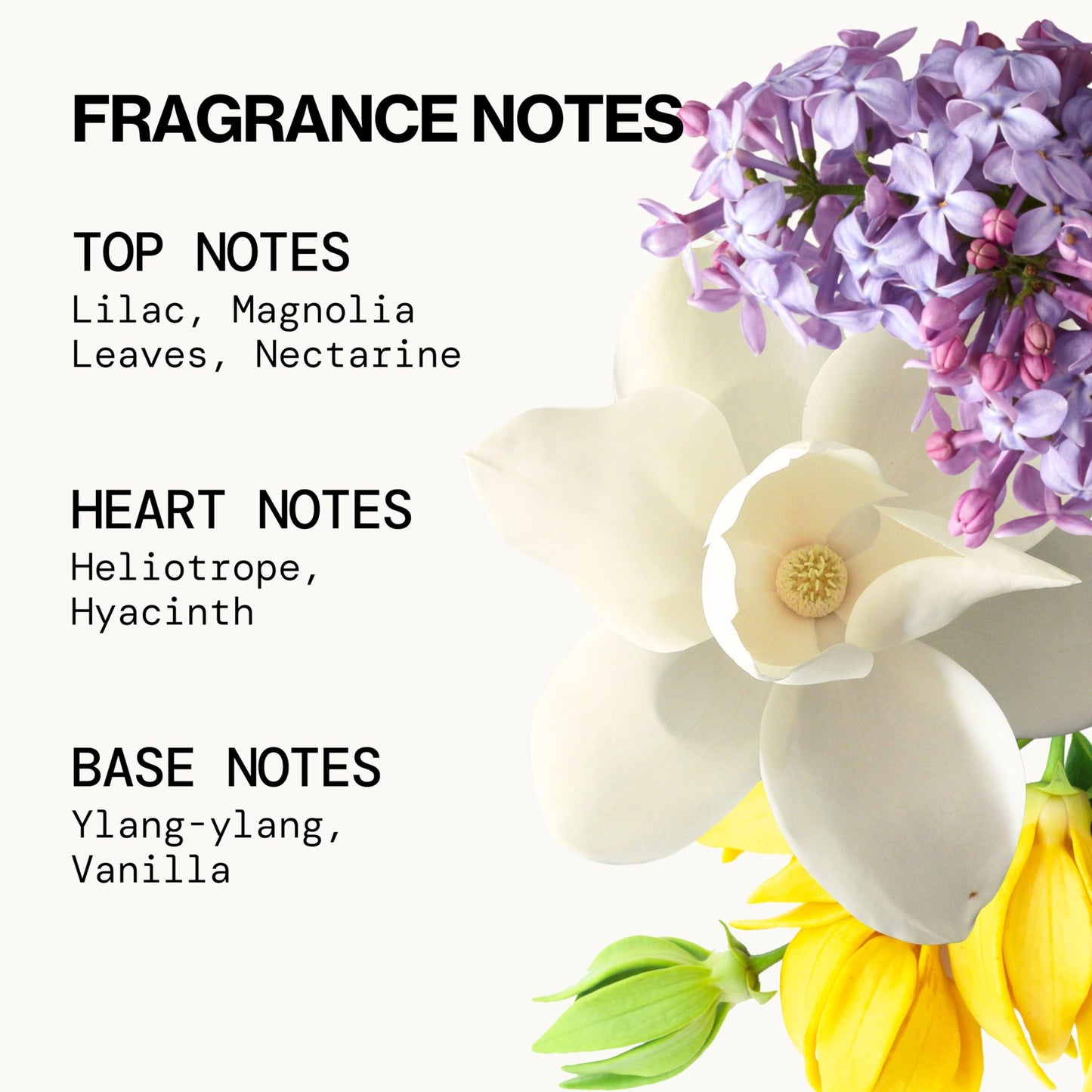 Pacifica French Lilac Spray Perfume - Clean Vegan Floral Fragrance for Women, Fresh-Cut Lilac & Powdery Magnolia Notes, Long-Lasting Romantic Spring