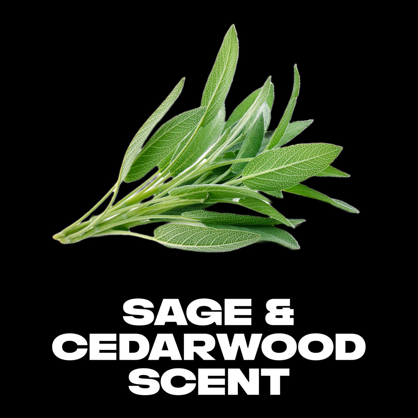AXE Aluminum Free Deodorant Stick Sage & Cedarwood For Long Lasting Odor Protection, Deodorant for Men Formulated Without Aluminum 3oz Beauty and Personal Care AXE