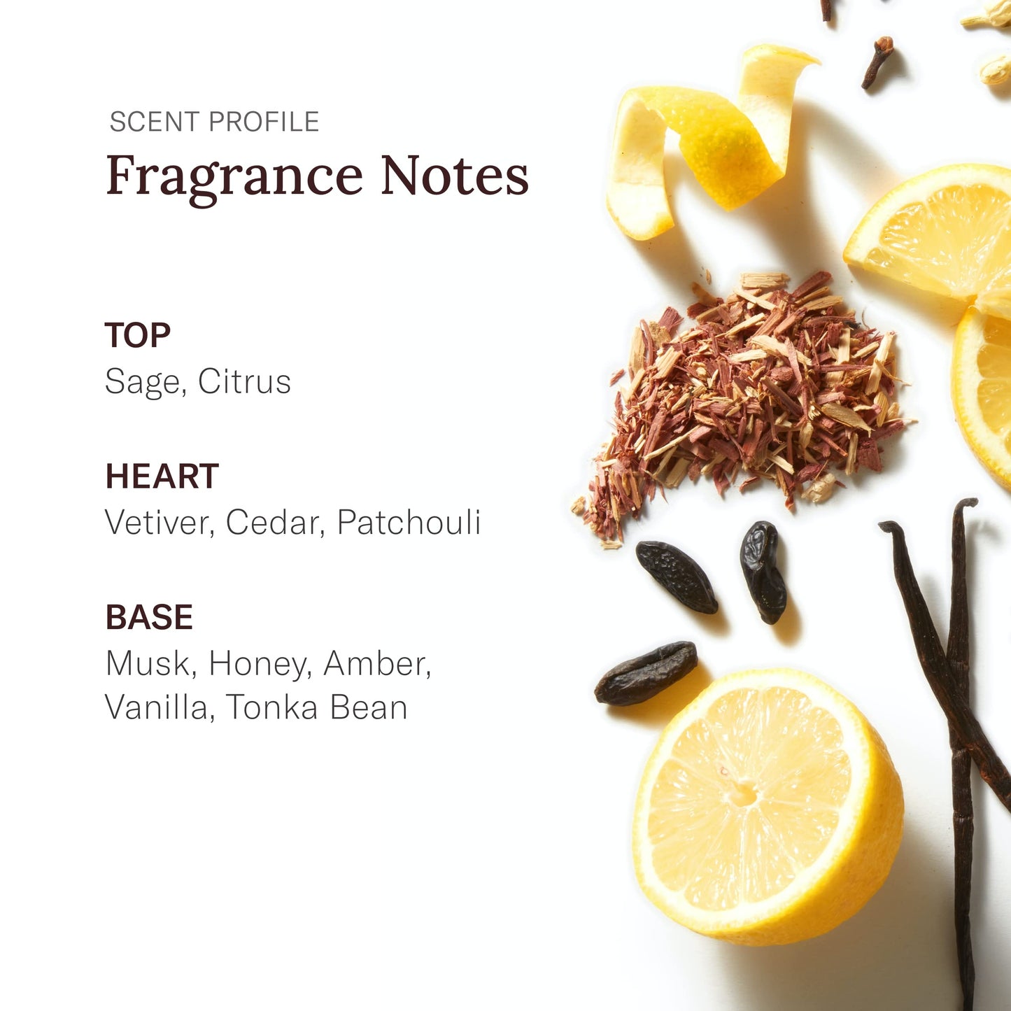 STETSON Original Cologne for Men | Classic Woody Scent with Citrus, Patchouli & Tonka Bean Notes | 0.75 fl oz