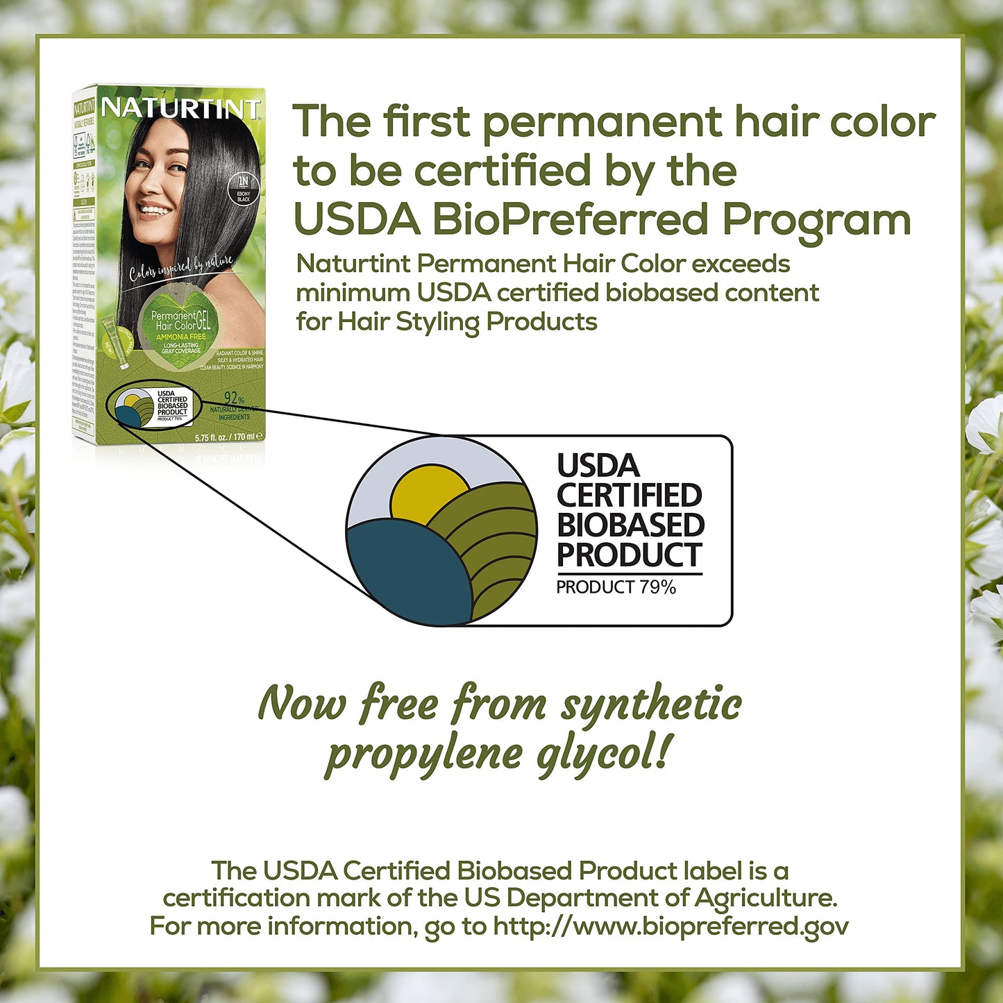 Naturtint Permanent Hair Color 1N Ebony Black - 5.4 fl oz