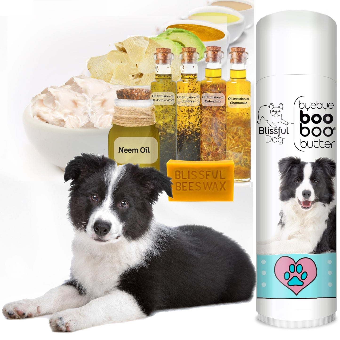 The Blissful Dog .50 oz Tube Border Collie Booboo Butter Beauty and Personal Care The Blissful Dog