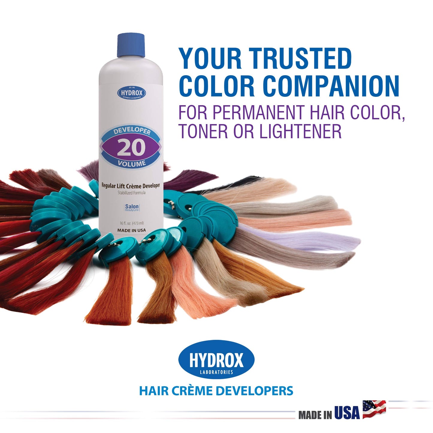 Hydrox 20-Volume Creme Developer Regular Lift, 16 Ounce (single)
