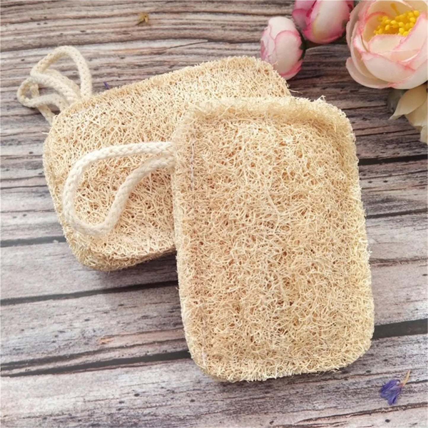 Kitchen Loofah Sponge Greener Clean Tools Non-Scratch Brush Natural Dish Scrubbers Luffa Loofa Lufa Sponge Tools(3 pcs) Beauty and Personal Care HIVJEEDYH