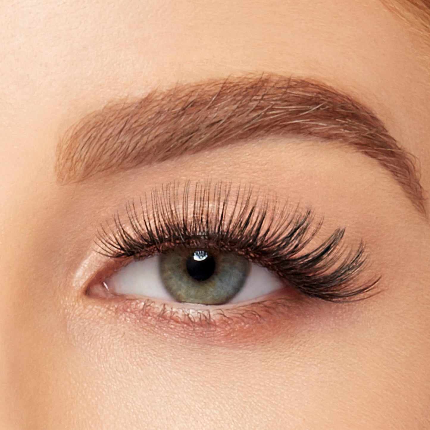 Extension FX B Curl