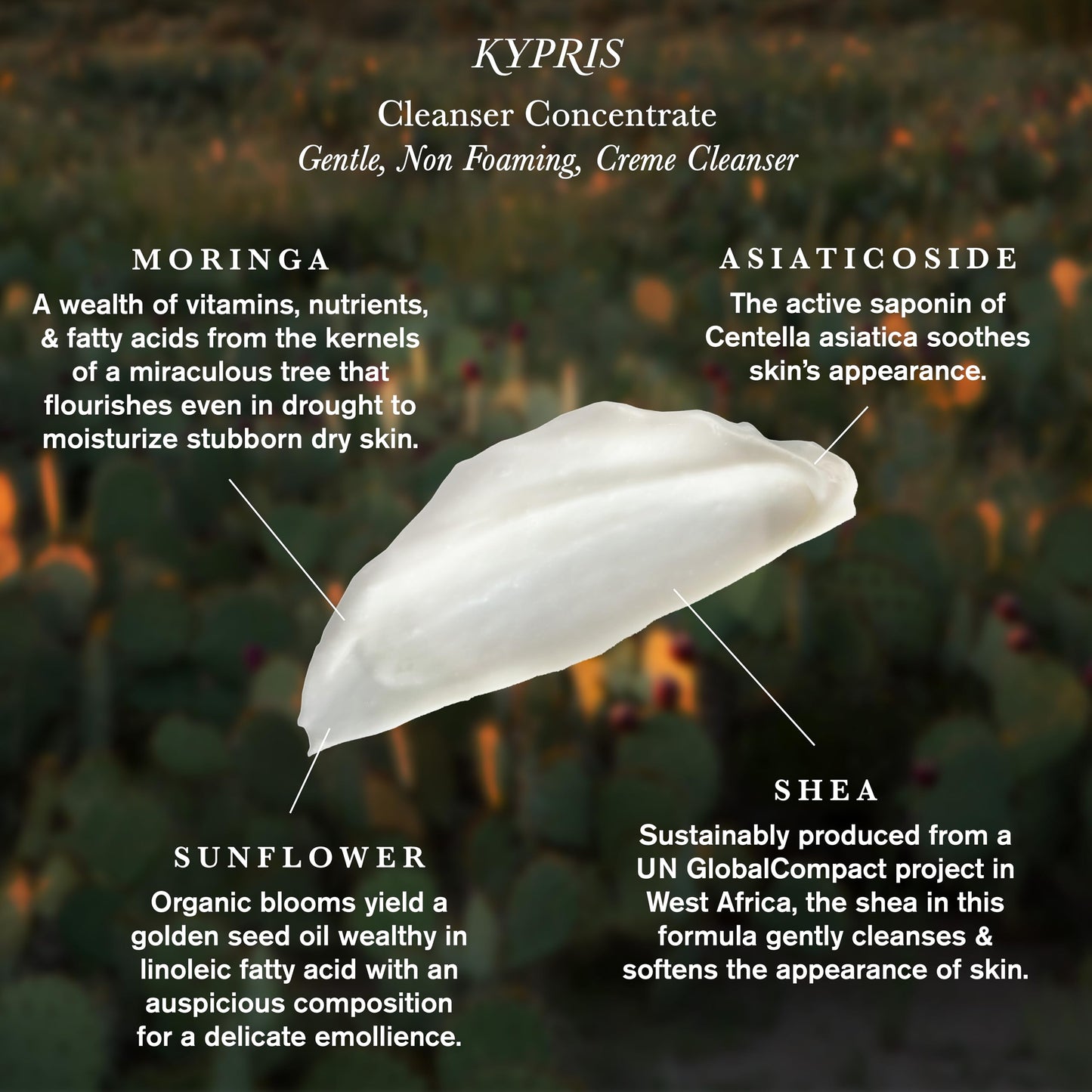 KYPRIS, Cleanser Concentrate Gentle, Non Foaming, Creme Cleanser, Soothing & Softening, Moringa Shea & Fermented Extracts (2.4 fl oz / 70 ml)