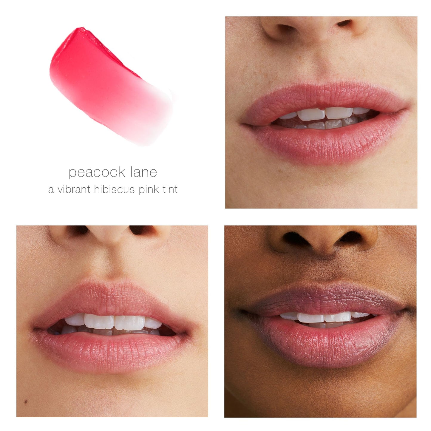 RMS Beauty Tinted Daily Lip Balm - Hydrating Makeup for Lip Care, Natural & Fragrance-Free Treatment Butter, Cruelty-Free - Peacock Lane (0.10 Ounce)