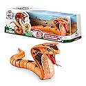 Robo Alive King Cobra by ZURU, Battery-Powered Robotic Moving Snake Toy, Realistic Snake Features, Ages 3+
