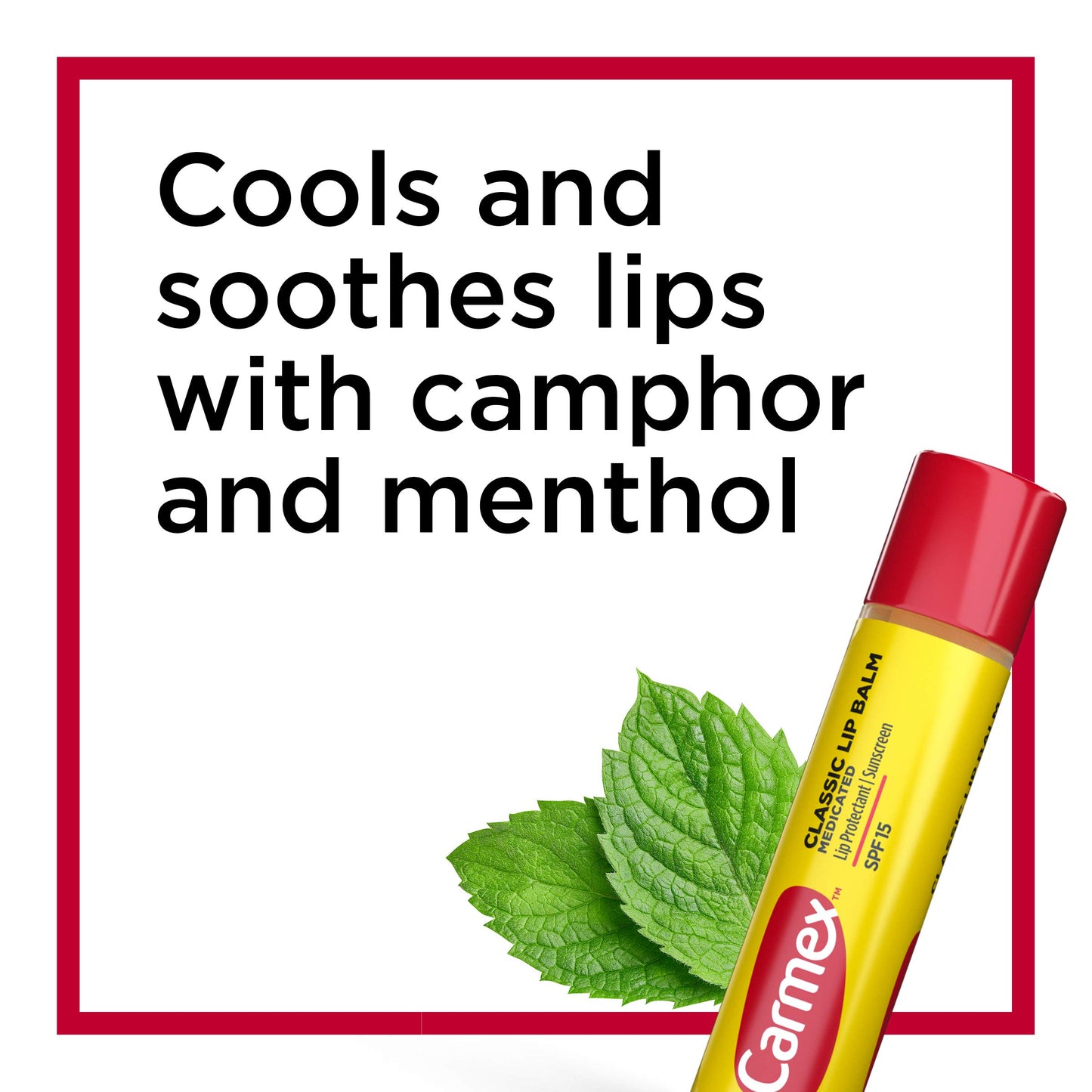 Carmex Medicated Lip Balm Sticks, Lip Moisturizer for Dry, Chapped Lips, 0.15 OZ - (2 Packs of 3)
