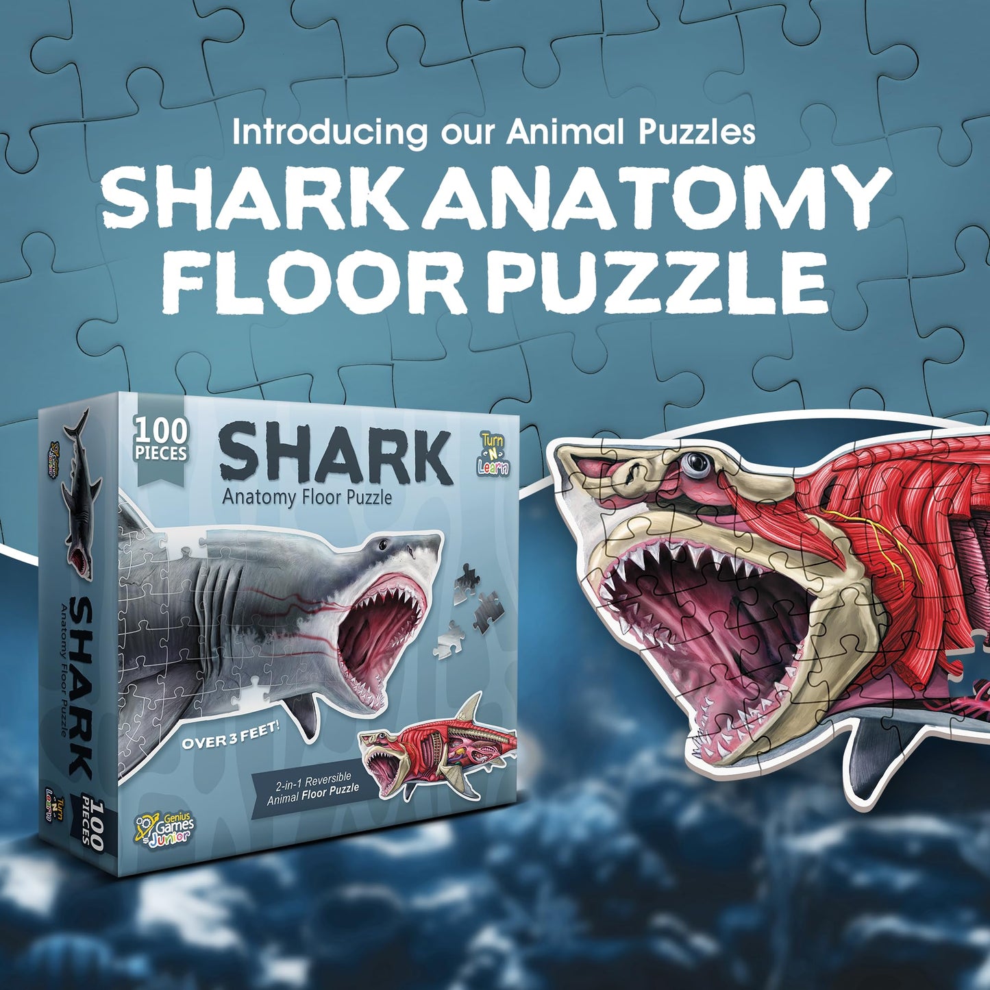 Shark Animal Anatomy Floor Puzzle – 100-Piece Double-Sided Jigsaw Puzzle for Kids Ages 4-8, Educational Large Floor Puzzle for Toddlers & Families