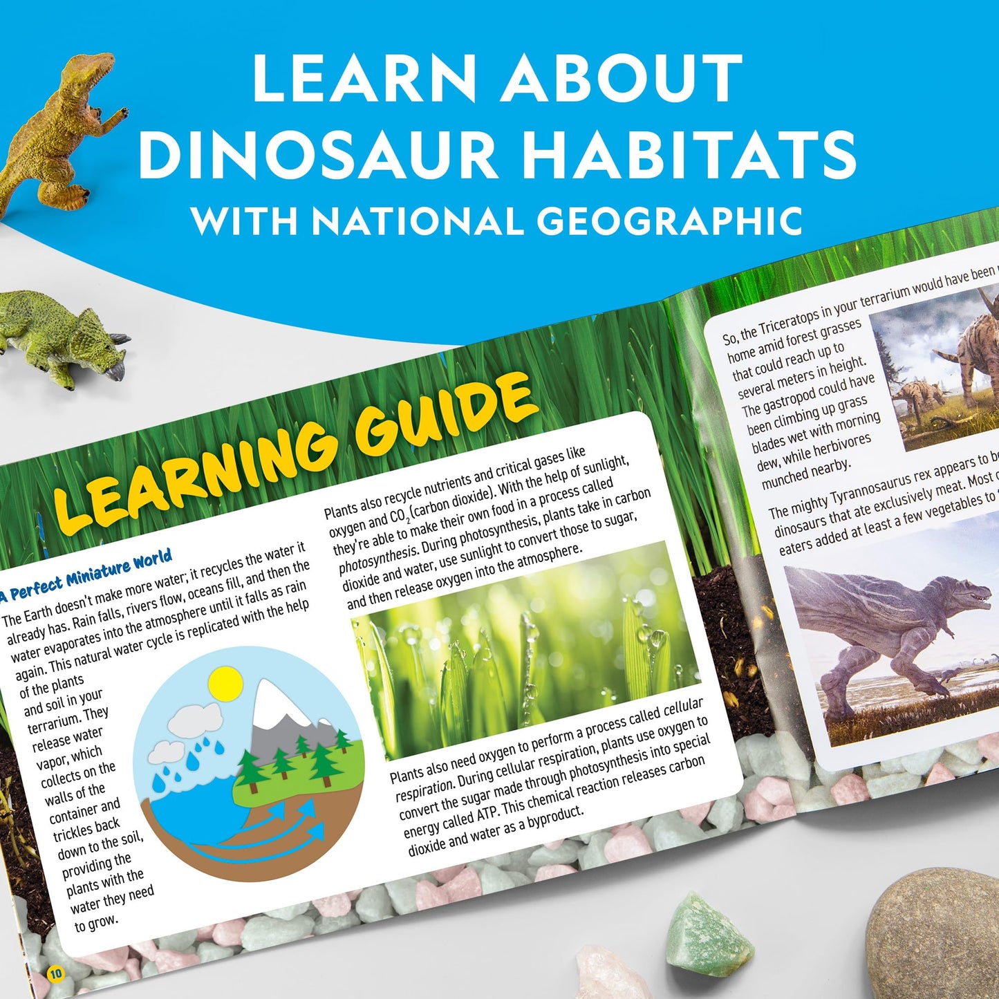 NATIONAL GEOGRAPHIC Light Up Terrarium Kit for Kids – Dinosaur Habitat with Real Plants & Gemstones, Fun Science Gift for Boys & Girls