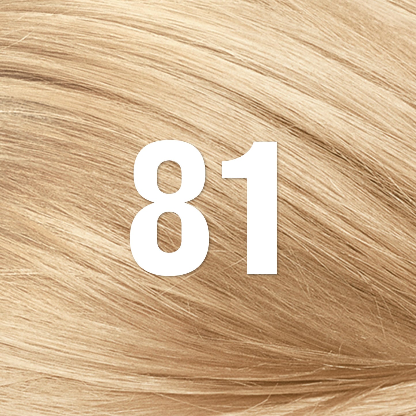 Revlon ColorSilk with Bond Repair Complex, Blonde Permanent Hair Color, 100% Gray Coverage, Ammonia Free Hair Dye, Vegan Keratin, 81 Light Blonde
