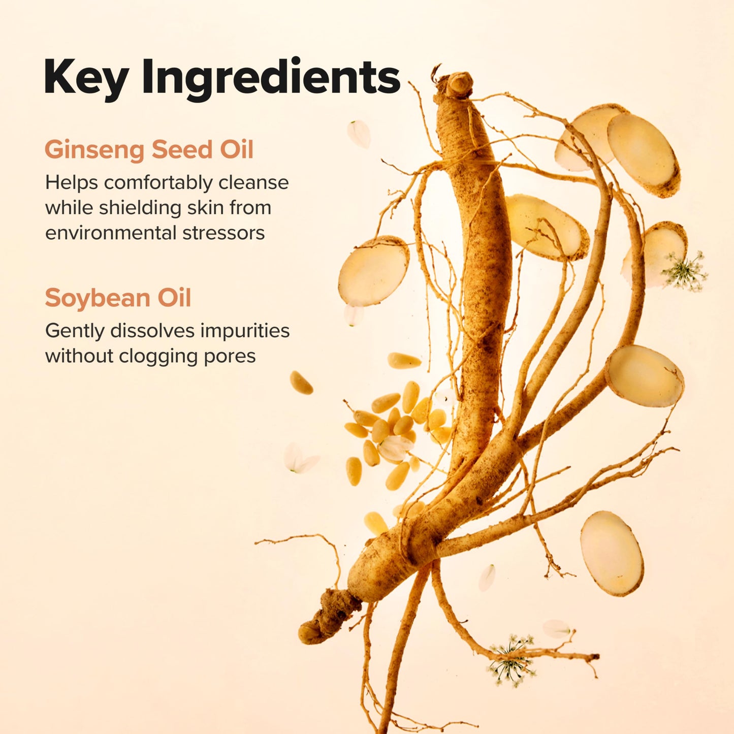 Beauty of Joseon Ginseng Cleansing Oil Waterproof Makeup Remover for Sensitive, Acne-Prone Facial Skin. Korean Skin Care for Men and Women, 210ml, 7.1 Beauty and Personal Care Beauty of Joseon