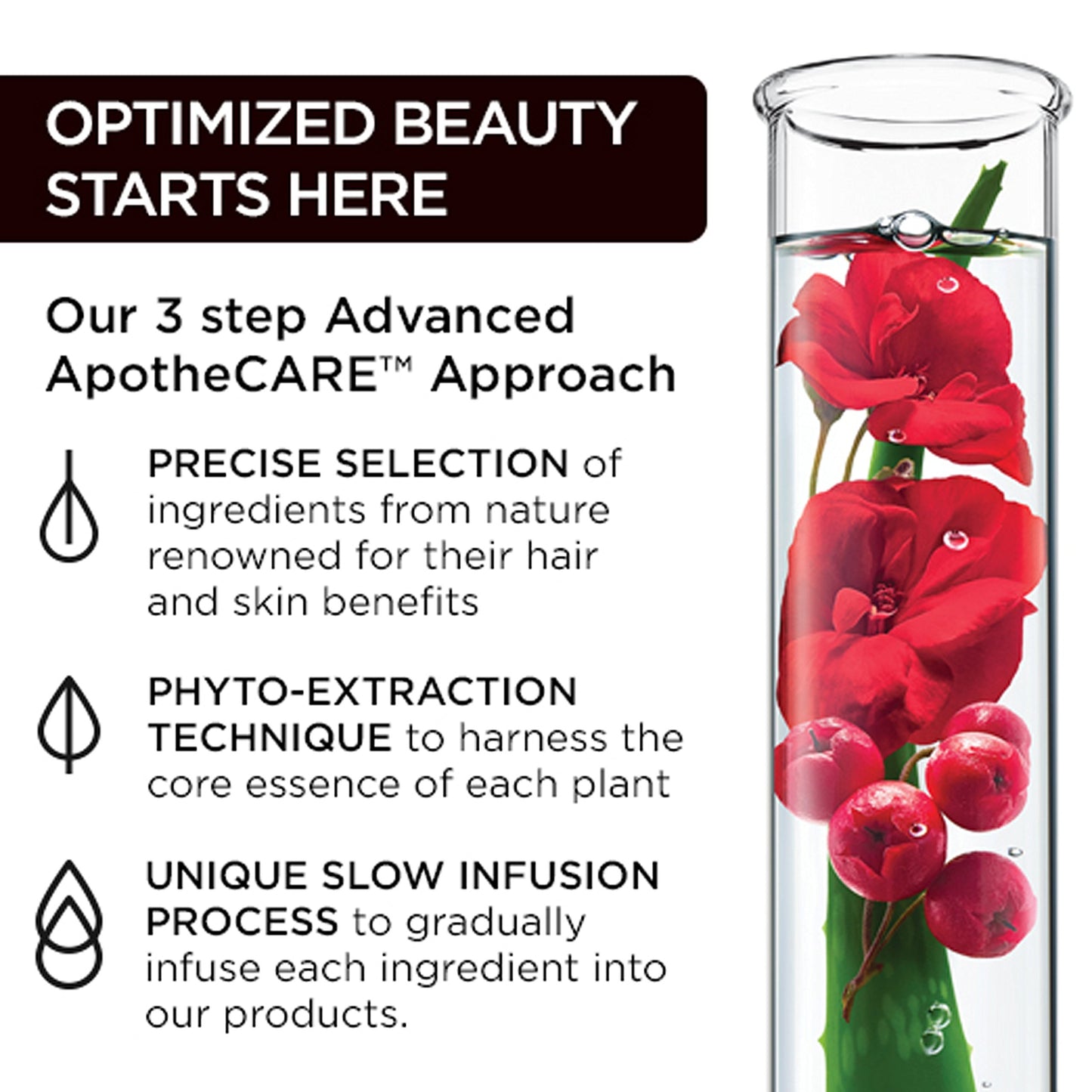 NEW ApotheCARE Essentials Discovery 5 Piece Hair & Body Set: Volume Shampoo + Volume Conditioner + 2x Deep Treatment Hair Masks + BONUS Face & Body