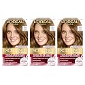 L'Oreal Paris Excellence Creme Triple Protection Hair Color, [6G] Light Golden Brown 1 ea (Pack of 3) Beauty & Personal Care L'Oreal Paris
