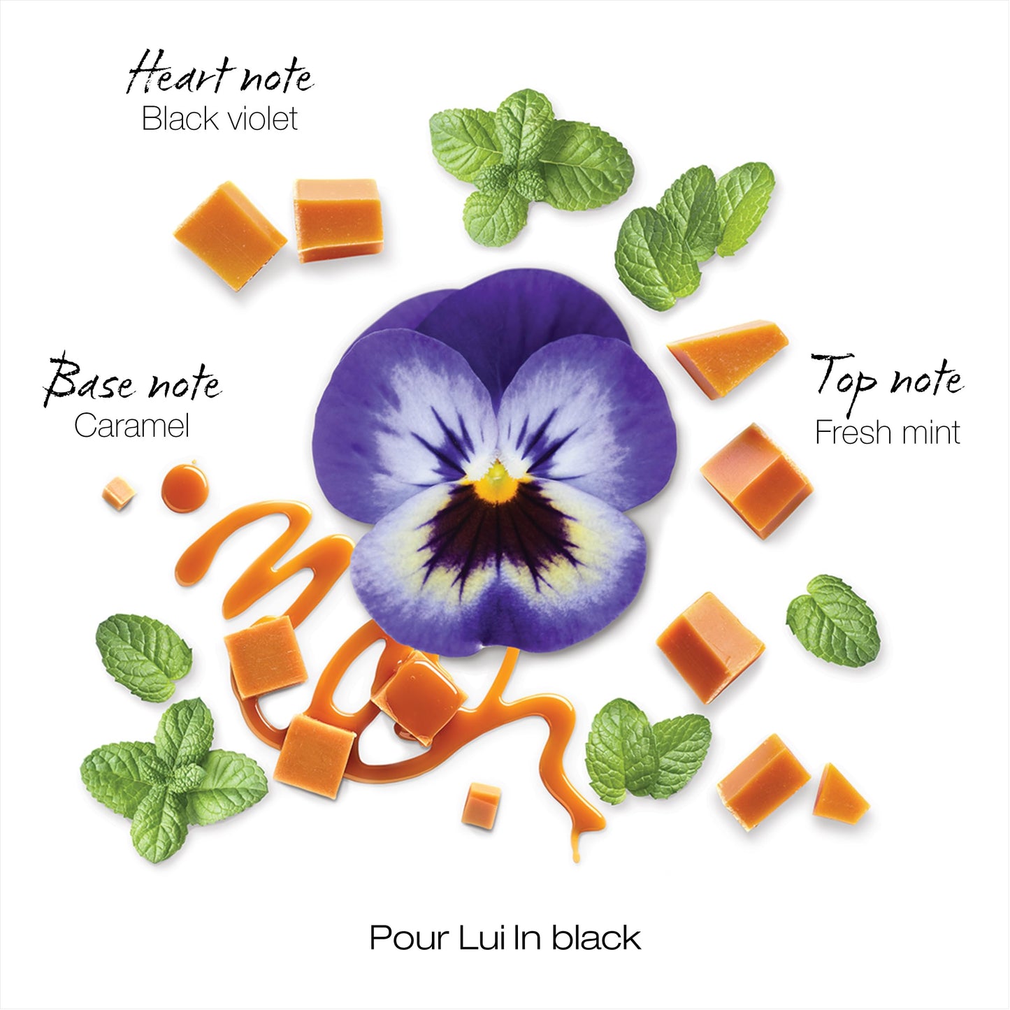 Mauboussin - Pour Lui In Black 100ml (3.3 Fl Oz) - Eau de Parfum for Men - Woody & Oriental Scents