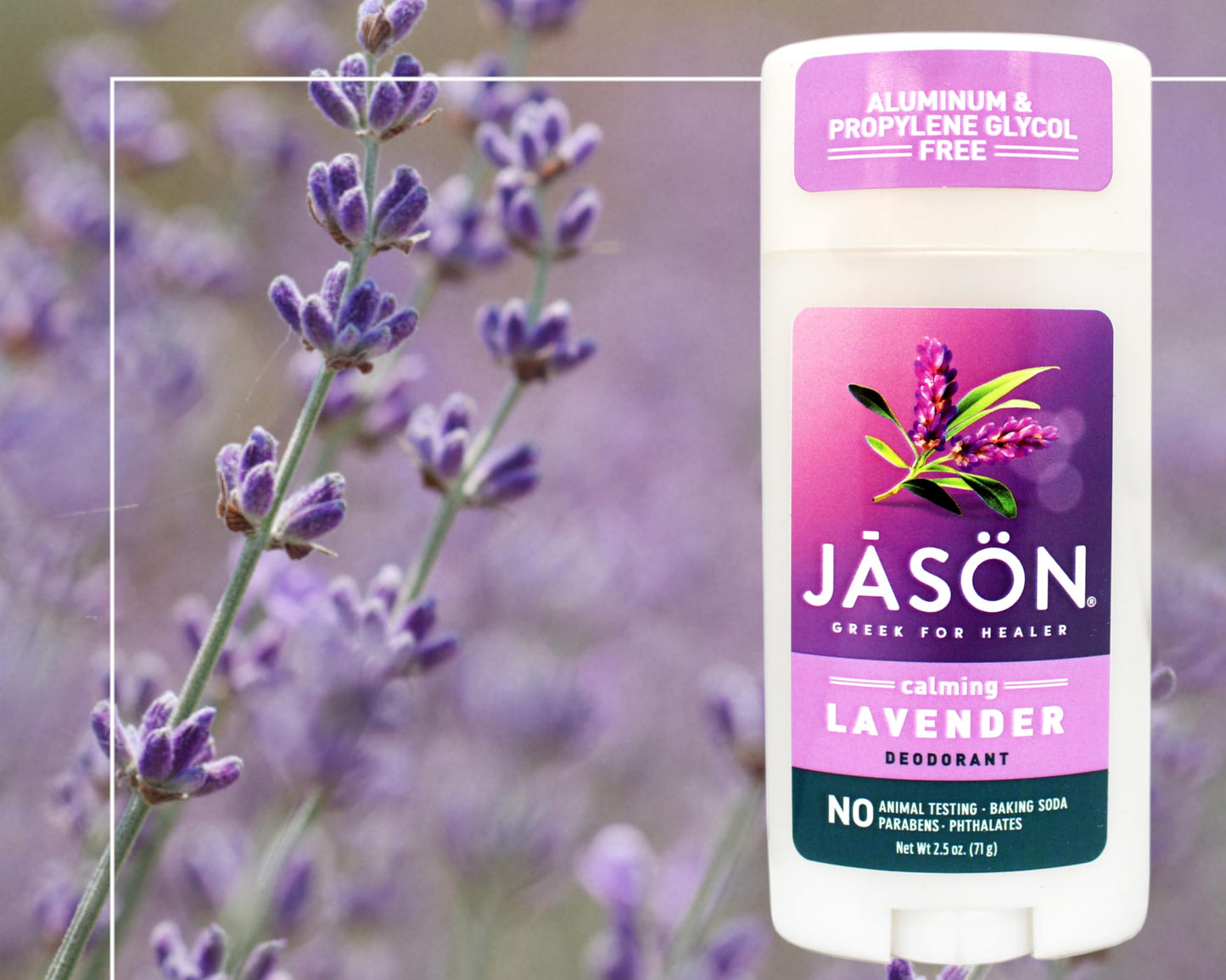 Jason Deod Stick Lavender Beauty and Personal Care JASON