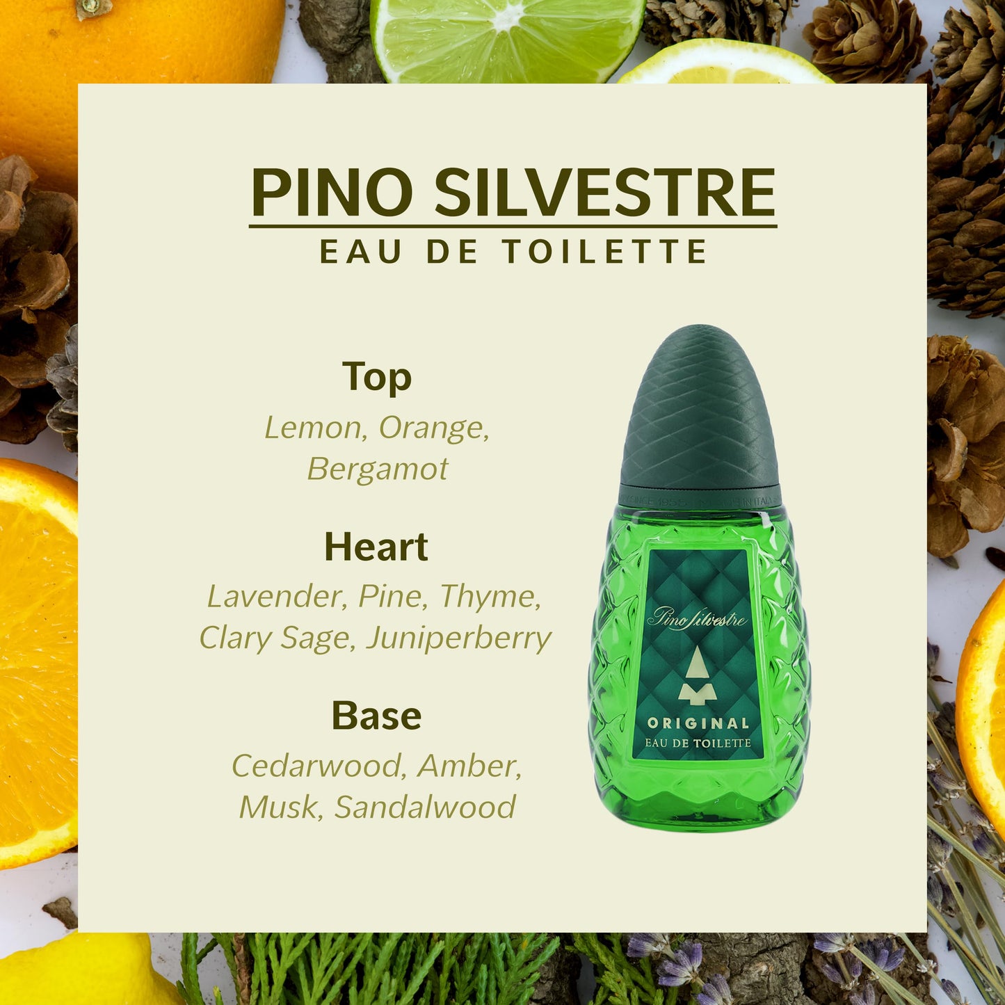 Pino Silvestre Original By Pino Silvestre For Men - A Men's Eau De Toilette Cologne Perfume Spray With A Million Dollar Fragrance - An Extreme