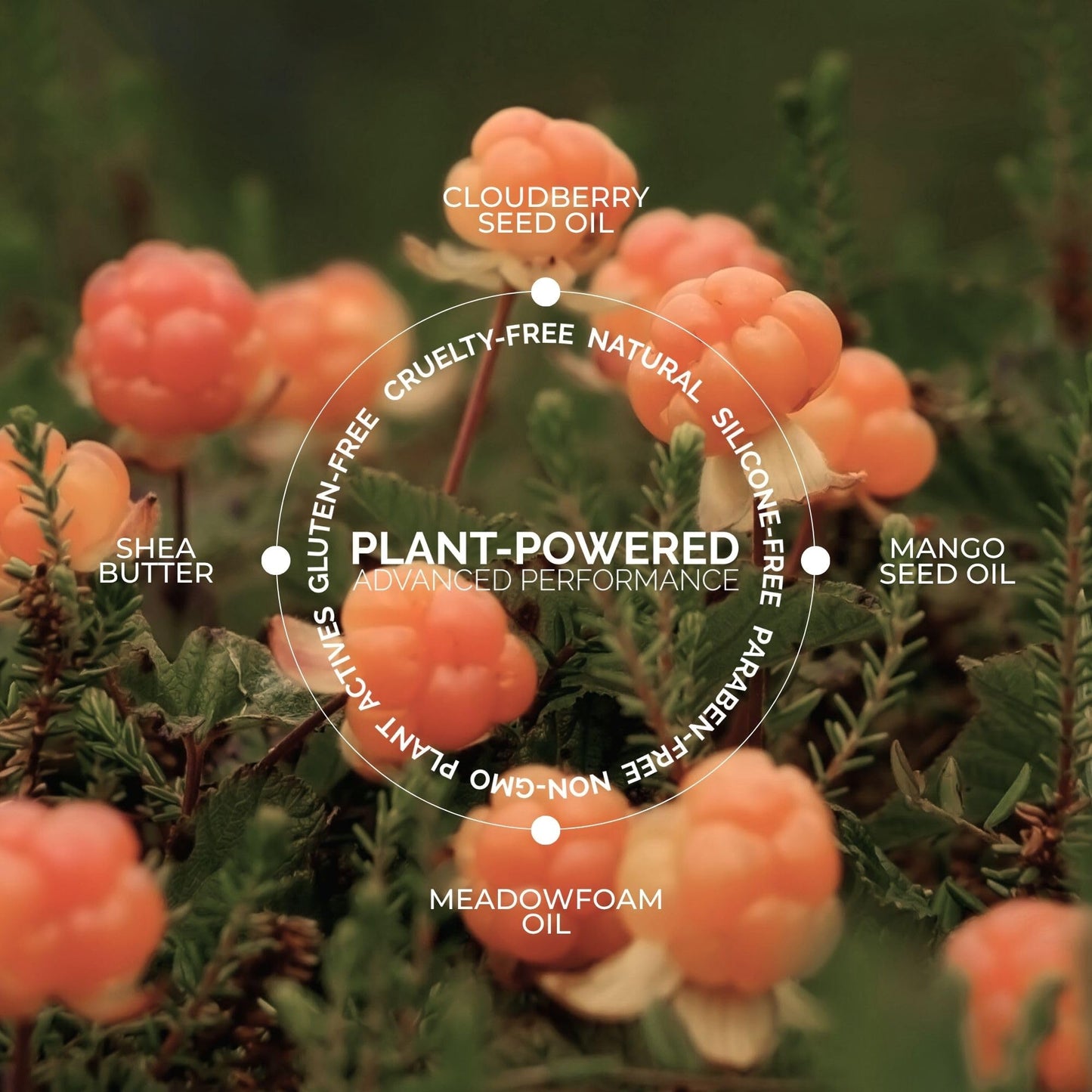 FITGLOW Beauty Vegan Eyeliner Pencil | Long-Lasting Eye Liner with Blending Brush | Smudge-Proof Eyeliner | Sensitive Eye Makeup | Natural, Clean…