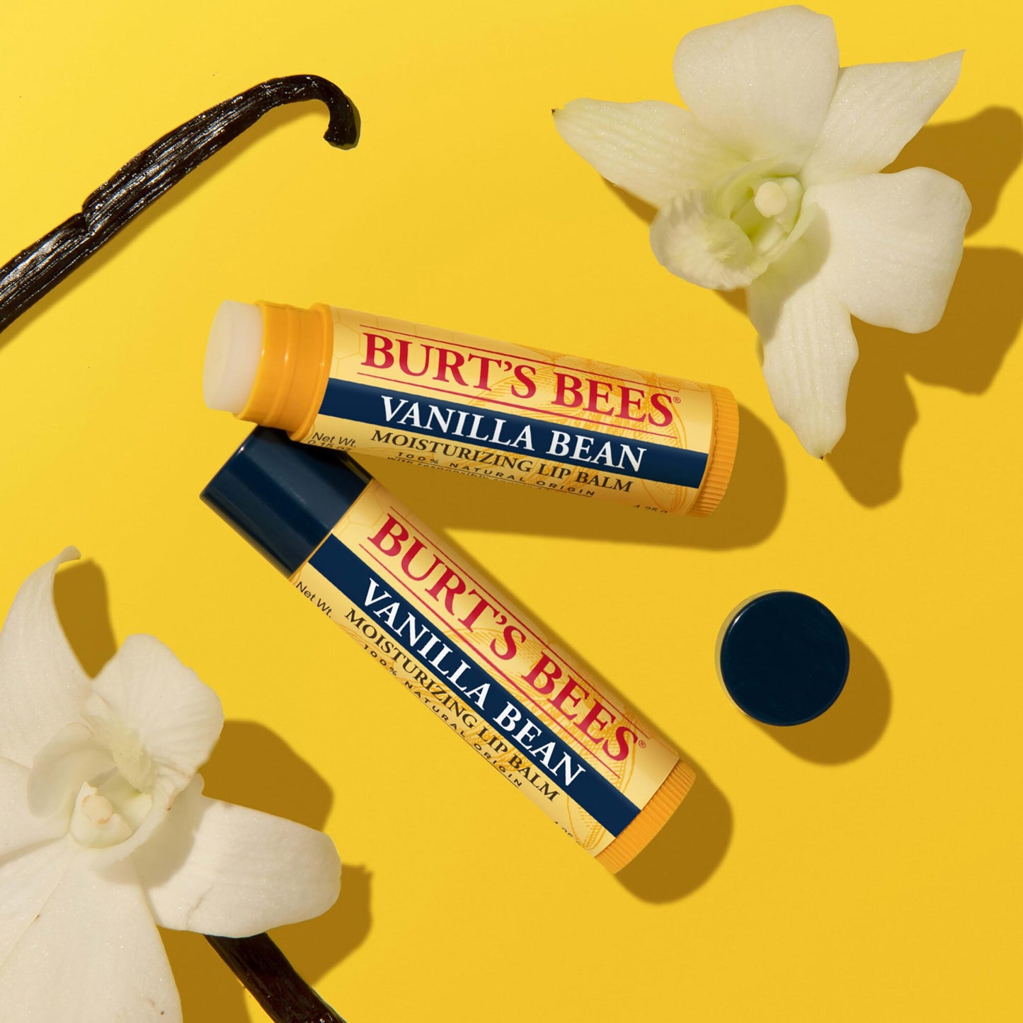 Burt's Bees Vanilla Bean Lip Balm, Lip Moisturizer With Responsibly Sourced Beeswax, Tint-Free, Natural Conditioning Lip Treatment, 1 Tube, 0.15 oz.