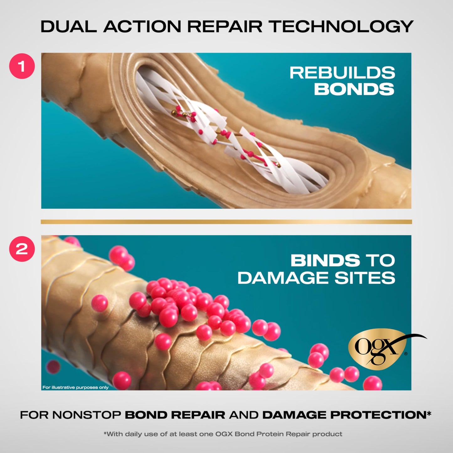 OGX Repair & Protect Bond Protein Repair Conditioner, Lightweight Conditioner Targets Damaged Areas of Hair, Formulated without Parabens, Sulfate-Free Beauty and Personal Care OGX