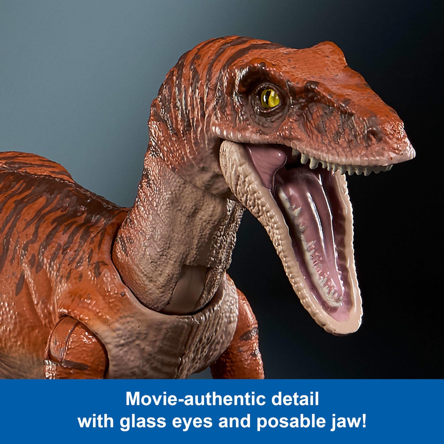 Mattel Jurassic World Hammond Collection Dinosaur Action Figure Toy, Atrociraptor Tiger, Premium Movie Design Glass Eyes & 13 Points Articulation