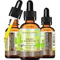 Botanical Beauty Organic CHIA SEED OIL 100% Pure Natural Virgin Unrefined Cold-Pressed Carrier Oil for Face, Skin, Body, Hair, Lip, Nails. Rich in