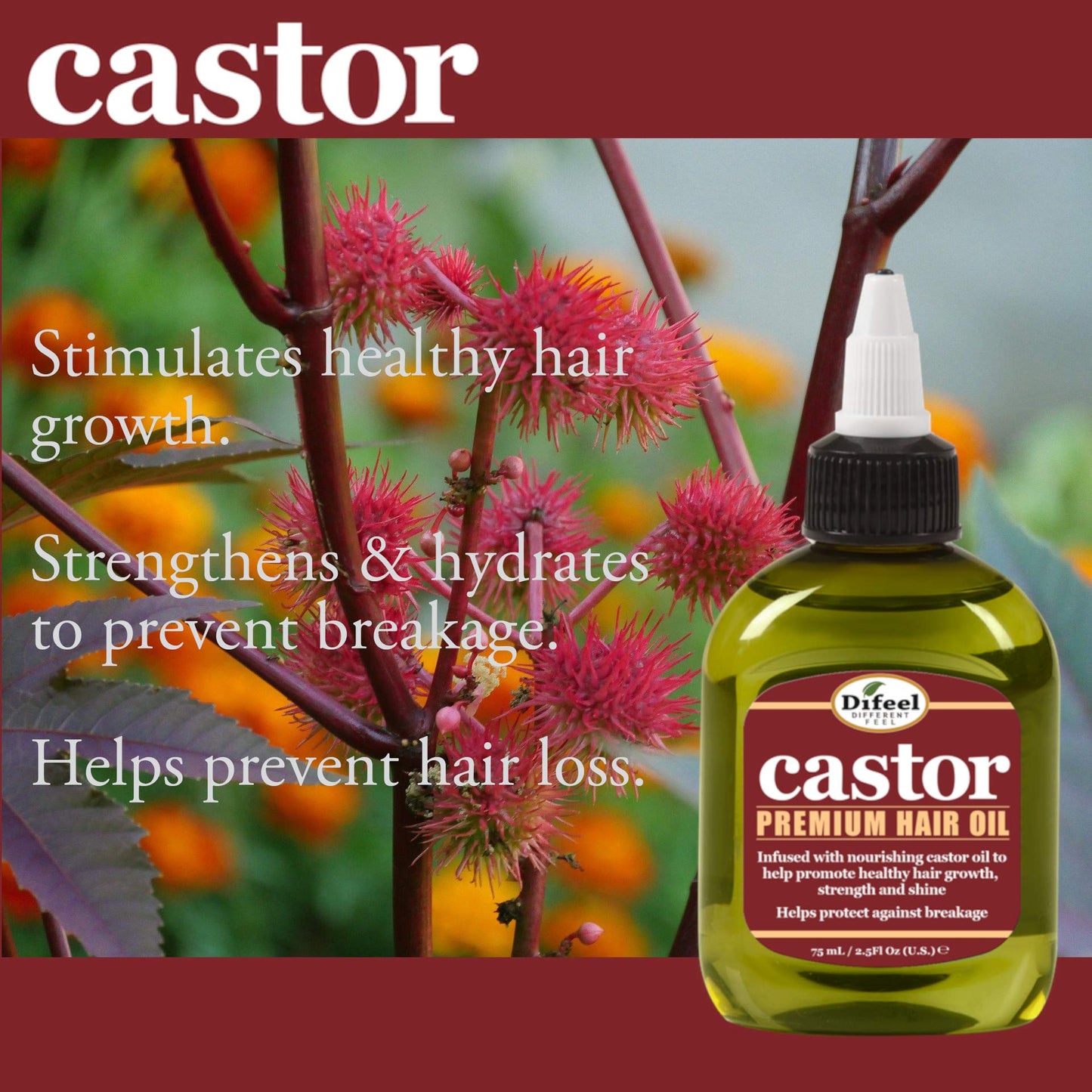 Difeel Castor Pro-Growth Hair Oil 2.5 oz. - Made with Natural Castor Oil for Hair Growth