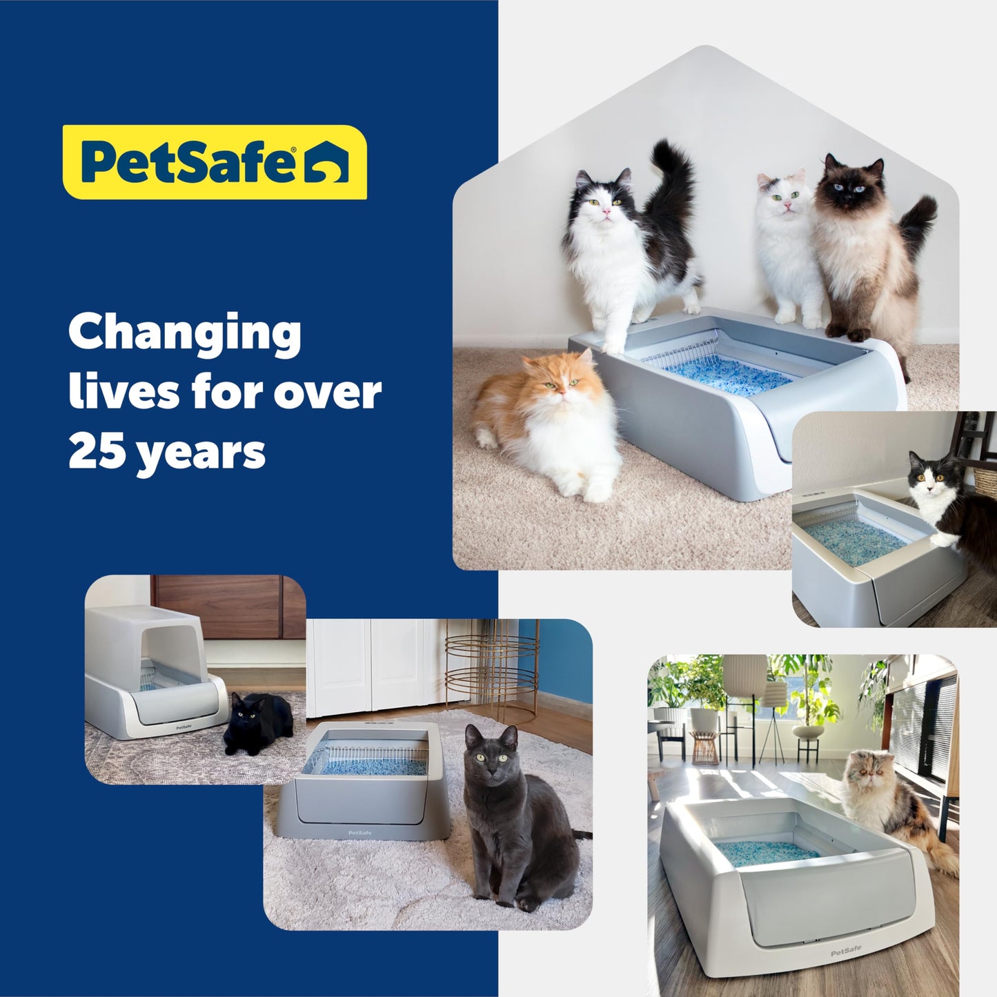 PetSafe ScoopFree Crystal Cat Litter – Low Dust, Less Tracking, Non-Clumping, Long-Lasting Freshness – 8.6 lb (2 x 4.3 lb) – Original Blue