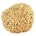 Natural Sea Wool Sponge Bath & Shower Express 4-5" (Small) Authentic Renewable Resource for Women & Men Esponja for Exfoliating and Washing Body