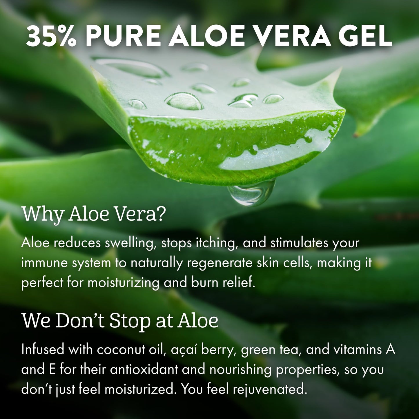 ALOE UP Spa Collection After Sun Light Moisturizer - Organic Hydrating After Sun Lotion With Aloe Vera Gel and Vitamin E - Reef Friendly - Mineral Oil