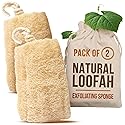 CraftsOfEgypt Natural Loofah Sponge - Egyptian Luffa Body Scrubber Pack of 2 for Men & Women, Natural Bath & Shower Loofah Exfoliator, All Natural