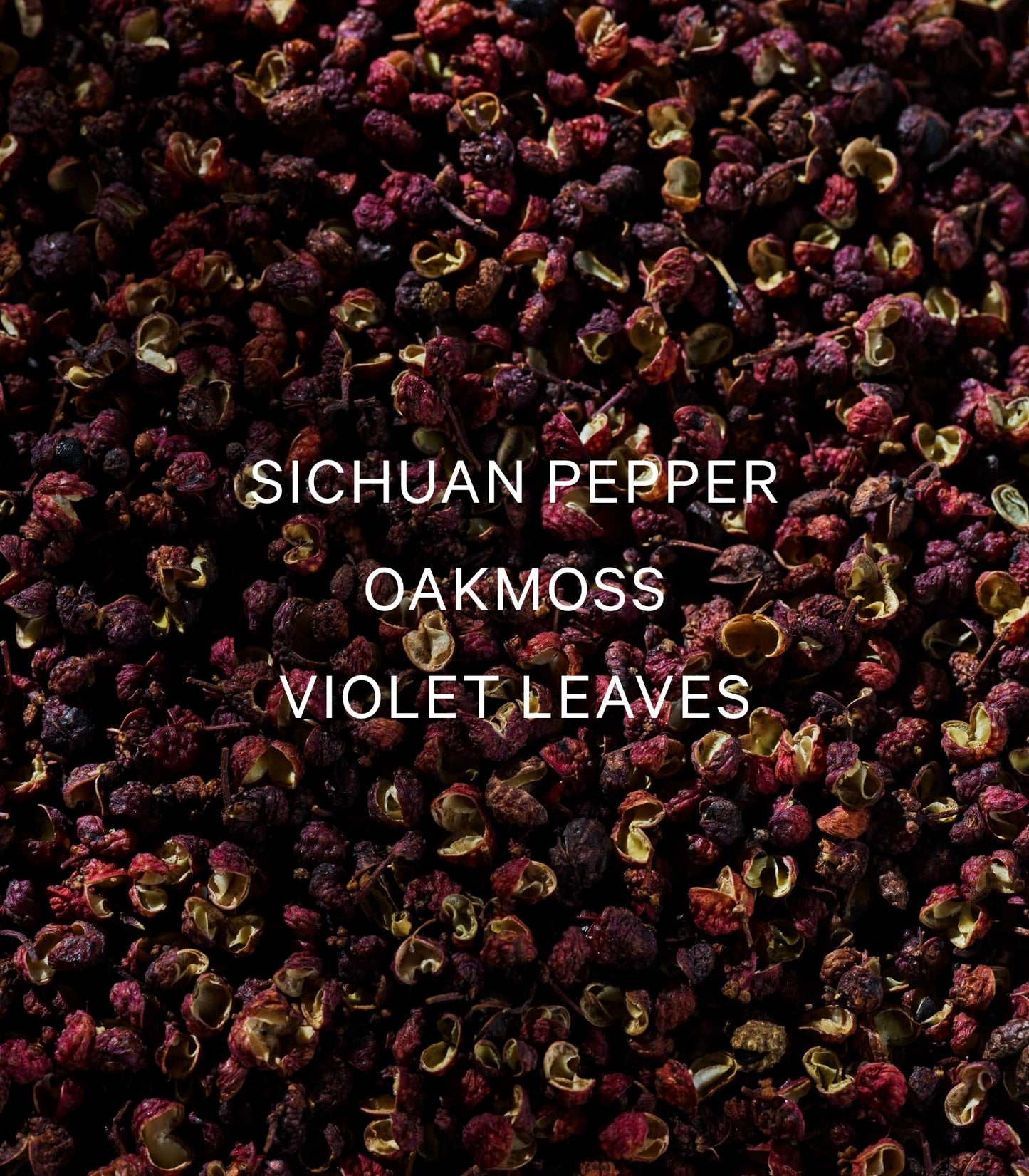 Victoria's Secret VS Him Platinum Men's Cologne(1.7 oz)