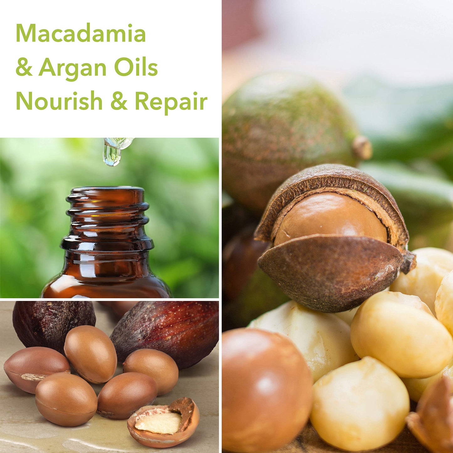 Macadamia Professional Hair Care Sulfate Paraben Free Natural Organic CrueltyFree Vegan Hair Products Ultra Rich Moisture Hair Conditioner, Green