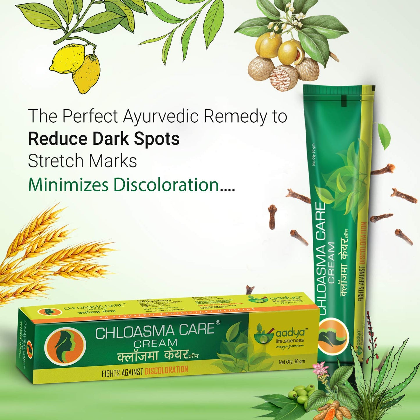 AADYA LIFE Chloasma Care Cream for Hyper pigmentation, Stretch marks, Blemishes, 30g (Pack of 2)