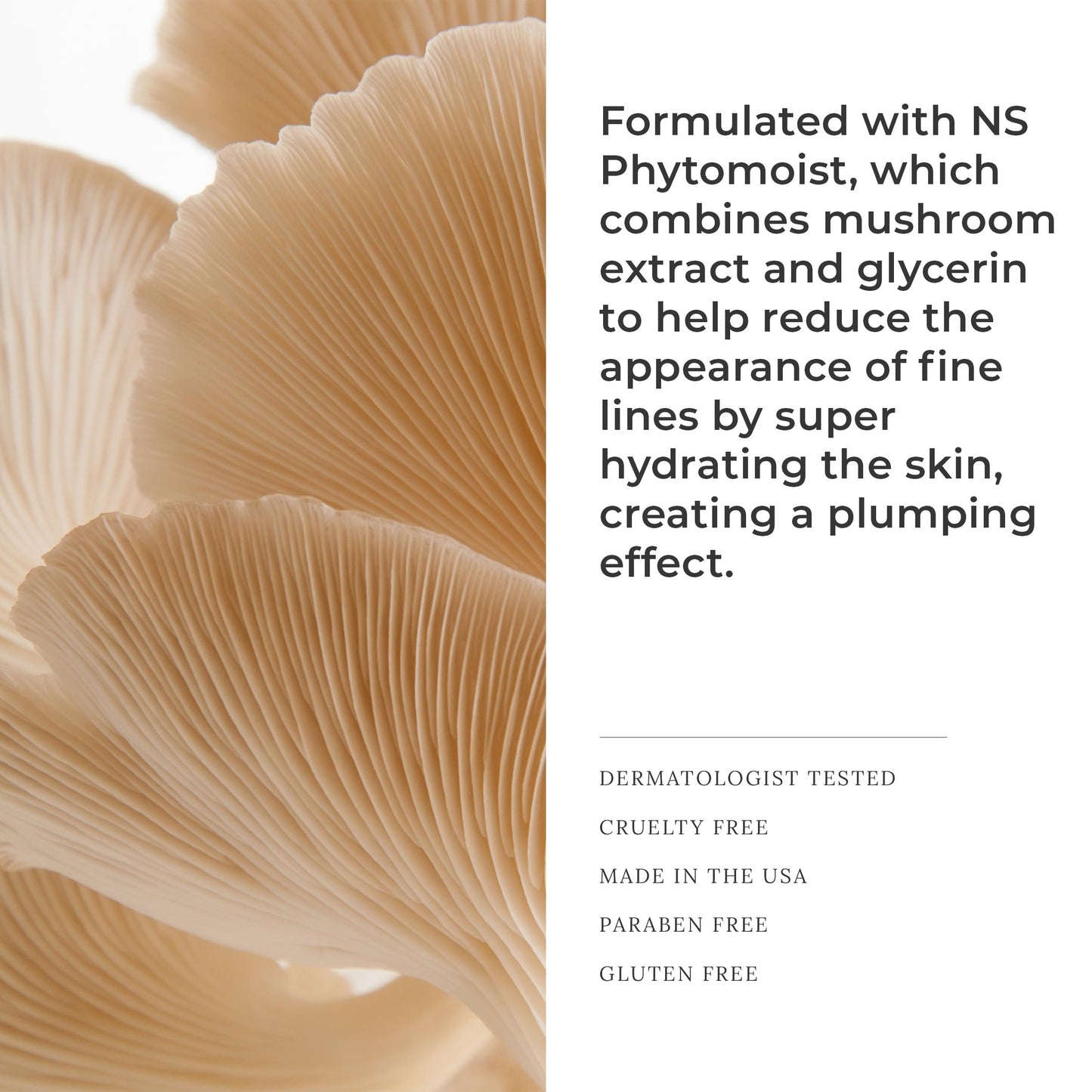 AmazingCosmetics Smooth Creme Concealer & Foundation Duo Hydrating Lightweight Makeup